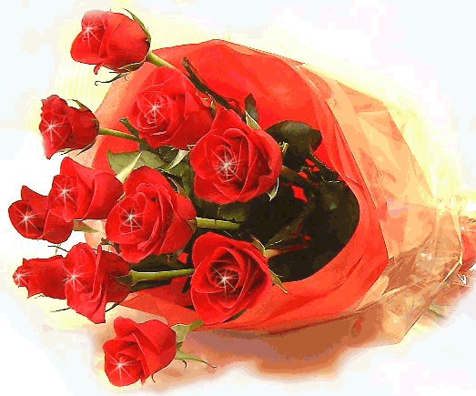 Owinięty bukiet czerwonych róż