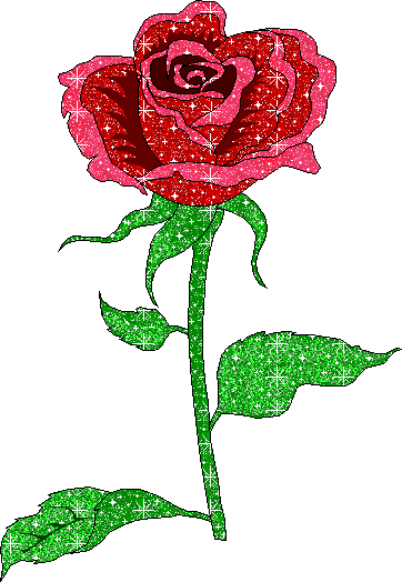 Róże obraz #1262