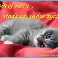 Dobrej nocy...