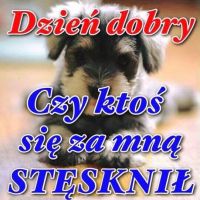 Dzień dobry. Czy...