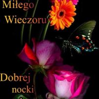 Miłego Wieczoru...