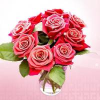 Roze
