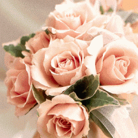 Roze